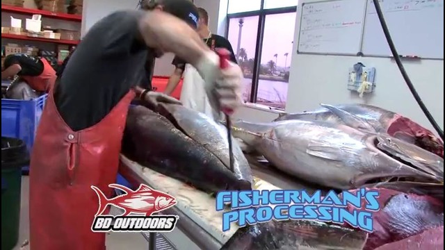 Tuna Fish
