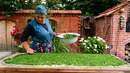 My Cozy Village Kitchen | Green Onion Breads