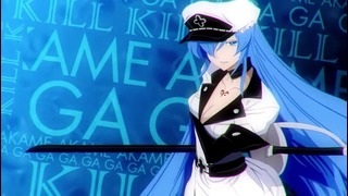 Anime review theory/Akame ga Kill