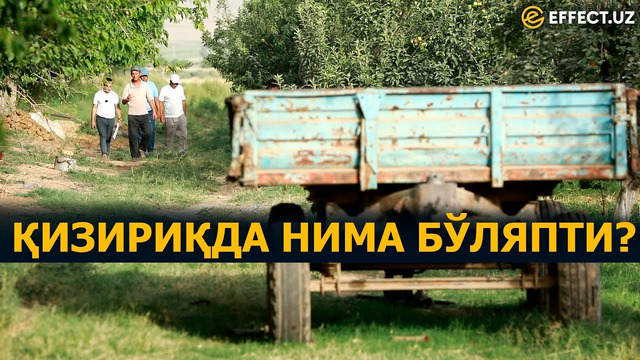 НОҲАҚЛИККА ЧЎМГАН ҚИЗИРИҚ – ҲОКИМИЯТНИНГ БОШИ ҚОТГАН – EFFECT.UZ