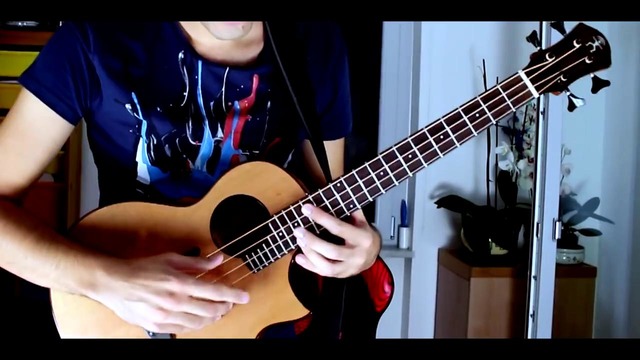 BASS The Way – Red Hot Chili Peppers (By The Way cover by Davie504)