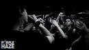Живойфлекс #bumblebeezy – live on #purplehaze by #blazetv