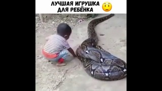 Говорят что змеи не кусают ребёнка