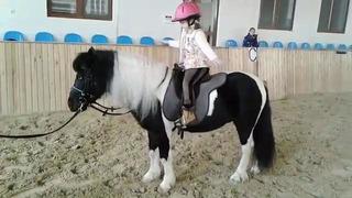 Занятия в конно-спортивном клубе для детей