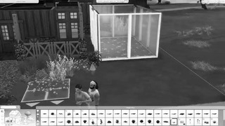 Черно-белый челлендж – строим дом в the sims 4
