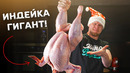 Вот это ДИНОЗАВР! Пытаюсь засувидить индейку