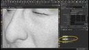Houdini – Topo Build