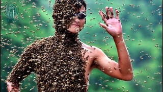 Пчелы наелись М&М’s и выдали «неправильный» мед (Моржовые новости)