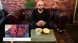 Vsauce – Alzheimer’s and the Brain