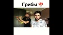 Грибы – Велосипед