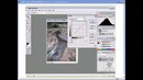 PSD School – Урок 12. Инструмент Curves