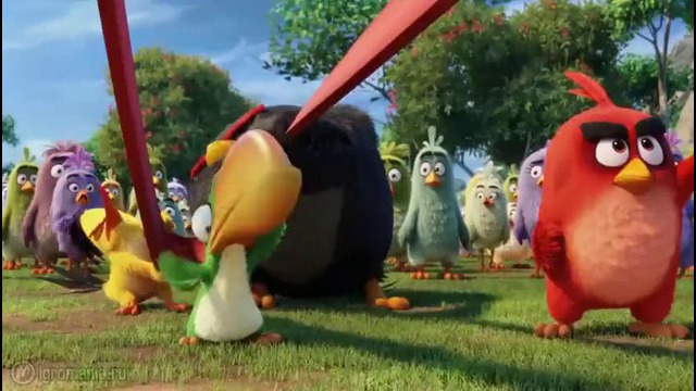 Что посмотреть на этой неделе – 11 мая (Angry Birds в кино, Шоколад, Голограмма для короля)
