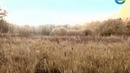 Земля. Территория загадок. НЛО. Хроники контактов. Документальный фильм