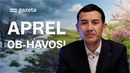 O‘zbekistonda aprelda ob-havo qanday bo‘ladi? | GAZETA