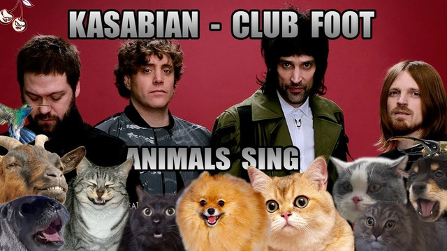 Kasabian – Club Foot (Animal Cover)