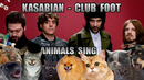 Kasabian – Club Foot (Animal Cover)