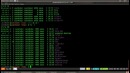 Linux – Терминал в Ubuntu, shell, bash, базовые команды, права доступа к файлам