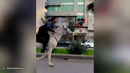Like a Boss Compilation! Amazing People That Are on Another Level #2