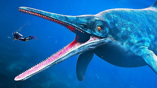 Найден самый крупный доисторический монстр океана! + Другие редчайшие обитатели морских глубин