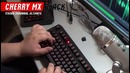 Механические клавиатуры ★ Cherry MX Black | Red | Brown | Blue