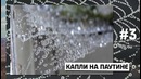 10 потрясающих иллюзий в природе