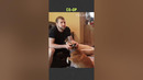 Pet fails while gaming