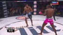 Phil Davis vs Emanuel Newton – Bellator 142 DYNAMITE