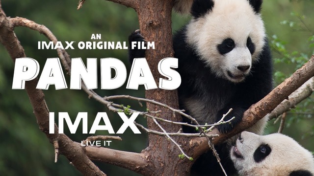 Панды 3D — Дублированный трейлер (2018)