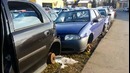 Автомобильная свалка в Германии № 3