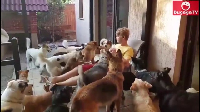 (BugagaTV) Приколы и Фейлы 2017 Июль / Wins & Fails July 2017 (Part 7)