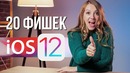 20 фишек iOS 12 – обзор от Ники