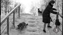 10 зимних лайфхаков
