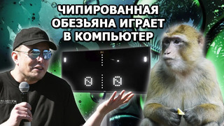 Илон Маск: о прорыве Neuralink в чипировании обезьян. Люди – следующие