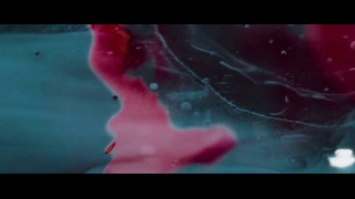 Dream on Dreamer – Surrender (Official Music Video 2023)