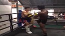 Buakaw heavy training