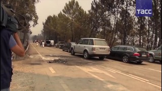 Пожары в Португалии- погибли десятки людей