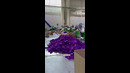 Шоколадная Фабрика Crafers