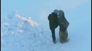 Когда твой худший враг – это ковер