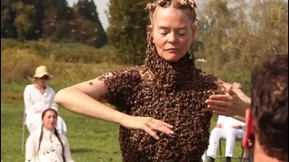 Танец с 10.000 пчёлами
