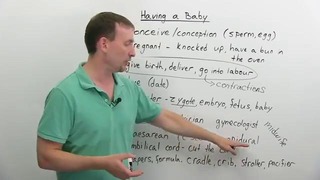 English Vocabulary- Having a BABY