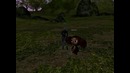 NPC для Lineage 2