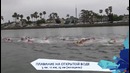 Плавание на открытой воде (KAZAN 2015 TV)