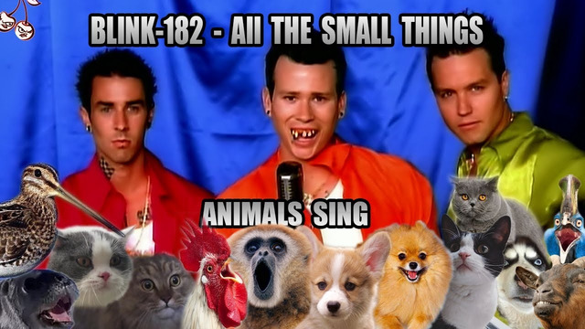 Blink-182 – All The Small Things (Animal Cover)