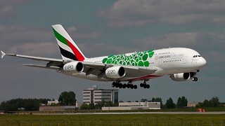 A380 с ветрянкой на борту – Аэропорт Домодедово 2018