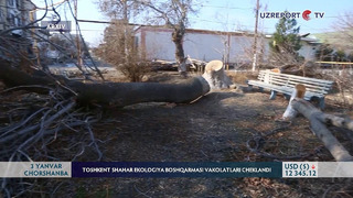 1-fevraligacha Toshkent shahar Ekologiya boshqarmasi vakolatlari cheklandi