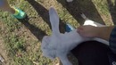 Большой тест-драйв. Едем в Ростов. День 3. СЫЫЫЫЫЫЫЫР