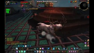 World of Warcraft | Rdruid – bmhunter v.s. double warriors | pandawow 5.4.8 x10