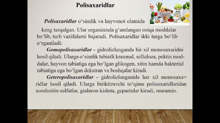 Di va polisaxaridlar