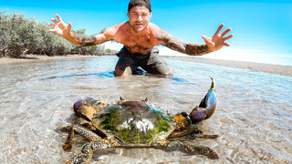 Giant Mud Crab Barehanded Catch And Cook