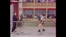 На ринге Вуди Аллен и кенгуру